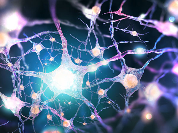 neural network 3