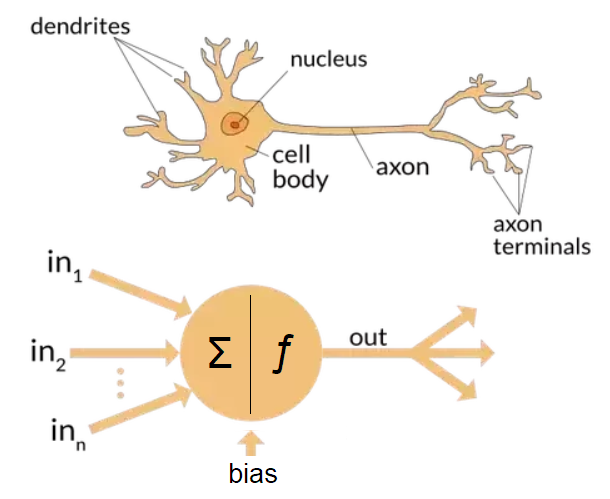 neural network 5